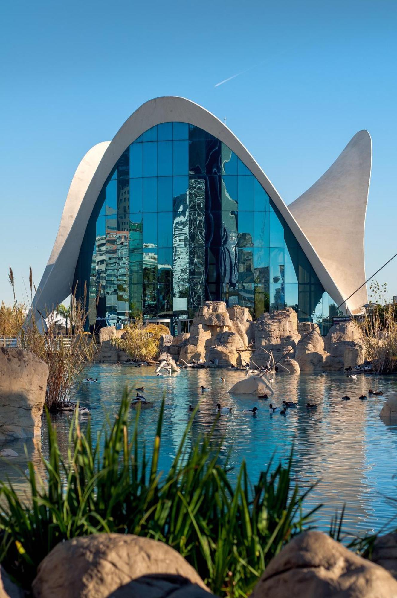 Habitacion Centrica De Lujo Gv 1 فالنسيا المظهر الخارجي الصورة